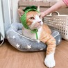 逸材過ぎるジョーくん！！！ サムネイル4