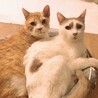 逸材過ぎるジョーくん！！！ サムネイル6