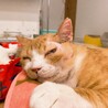 逸材過ぎるジョーくん！！！ サムネイル7