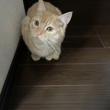 の写真