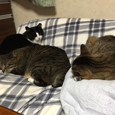 寒いの？暑いの？ジメジメなの！？毎日…注文の多いこと(;´д｀)