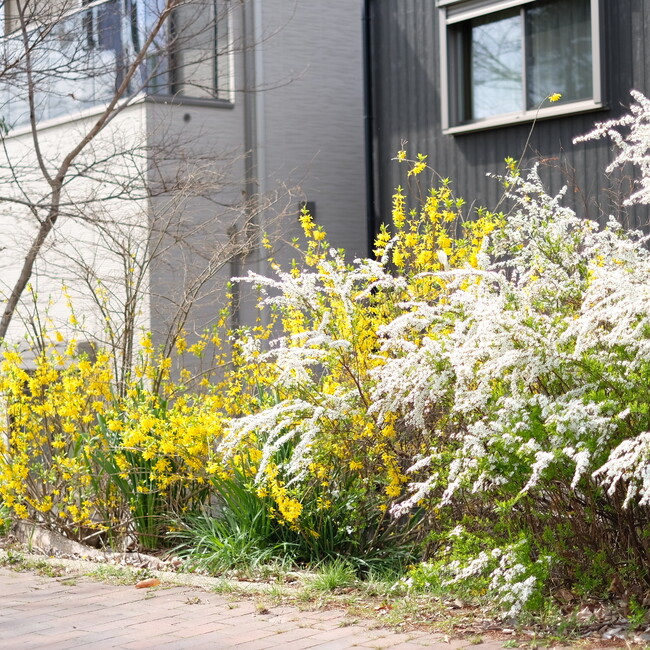 hinocoのカバー写真