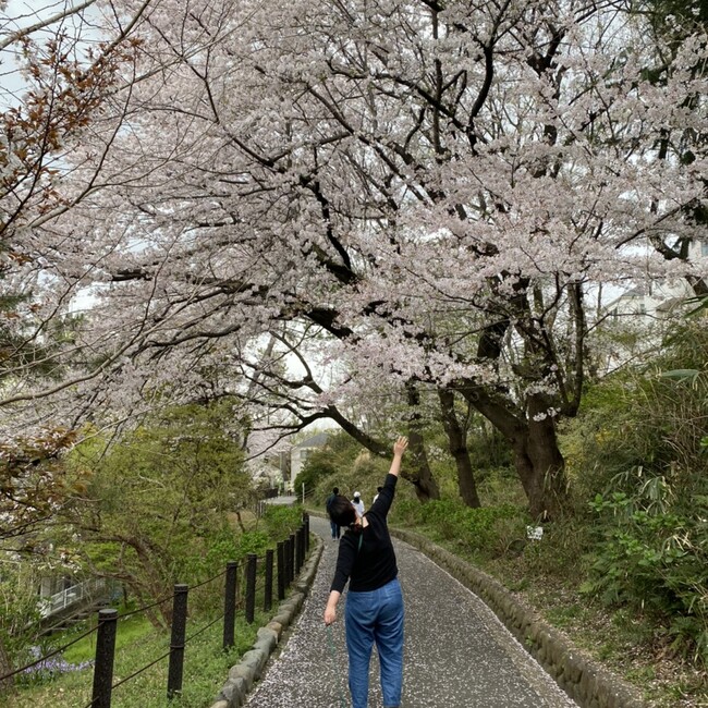 あやじっぷのカバー写真