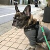 の写真