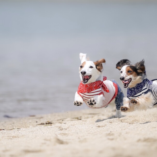 etsupowerのカバー写真