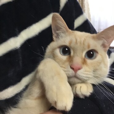 みゅう王子、来てくれたんだね❣️ありがと、また一緒に遊ぼうね‼️