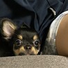 ママにべったり（笑）