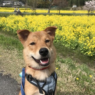 お鼻にチューが大好きな柊くん
