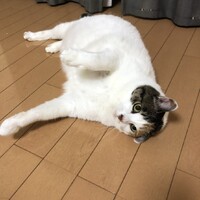 まる