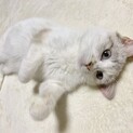 小梅❤️