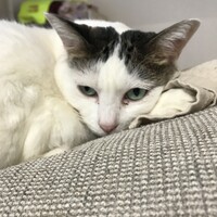 うめ