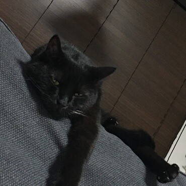 の写真