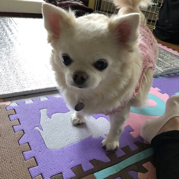 防災の迷子札付けました