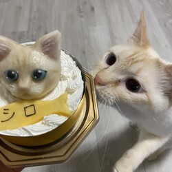 Happy  birthday