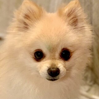 富岡（とみおか）天真爛漫で超元気な男の子♡