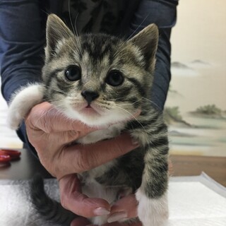 たくさんのご応募ありがとうございました！