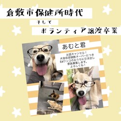 「倉敷っ子あむと君の幸せ便り」サムネイル2