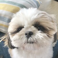 むーちゃん