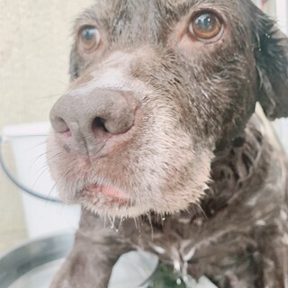 ☆❣️家族が決まりました❣️☆