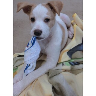 ご応募多数のため募集停止中