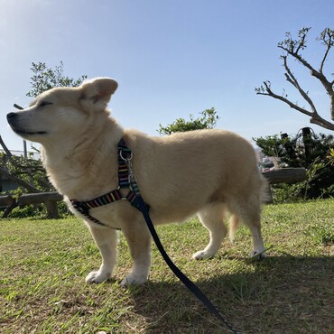 の写真