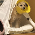 お返事少し遅れます。