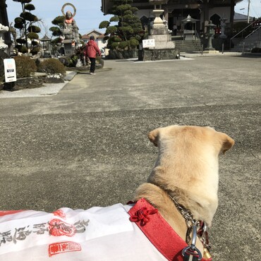 お遍路さん、始めました！手作りと道中着と和袈裟をつけてゆっくりと88ヶ寺周りますよ