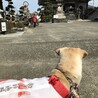 お遍路さん、始めました！手作りと道中着と和袈裟をつけてゆっくりと88ヶ寺周りますよ