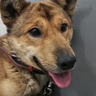 訓練頑張って大変身の、せいじろう君