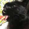 黒猫のユニちゃんありがとうございます サムネイル2