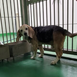 飼い主さんのお迎えがありました ❤️