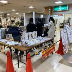 猫の譲渡会@島忠大谷田店(足立区 北綾瀬駅から徒歩10分) サムネイル2