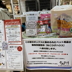 猫の譲渡会@島忠大谷田店(足立区 北綾瀬駅から徒歩10分) サムネイル3