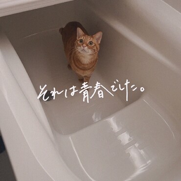 ここはどこ？