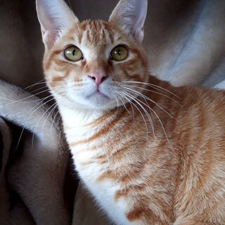 僕は三郎　さぶちゃんと呼んで‼️