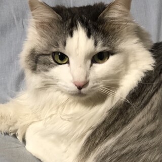 人なっこい4歳女の子！