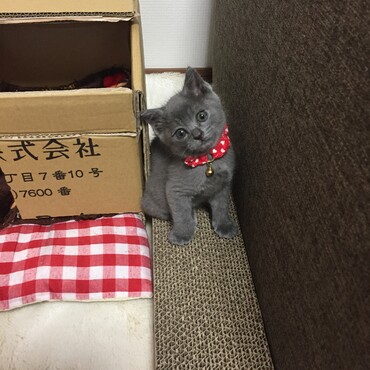 お迎えしたとき