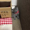 お迎えしたとき