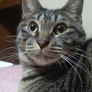 過酷だった過去と決別しずっとの家族を！！