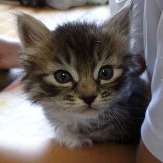 素敵なご縁に恵まれました！