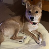 そら