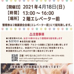 猫の譲渡会@島忠大谷田店(足立区 北綾瀬駅から徒歩10分) サムネイル1
