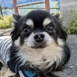 高崎（たかさき）アイ・ラブ・タカサキ♡