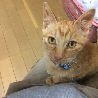 超甘えん坊ちゃん♀