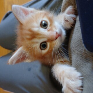 素敵なご縁に恵まれました！