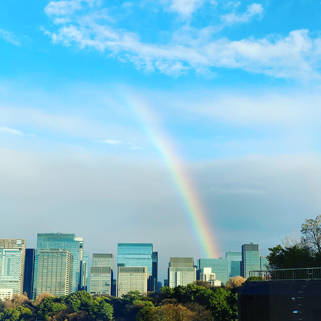 Shoko98のカバー写真