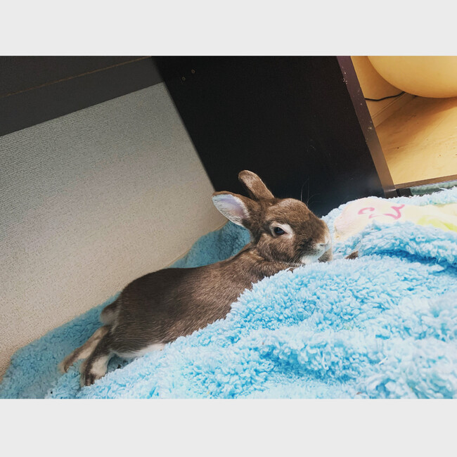 寿司やのカバー写真