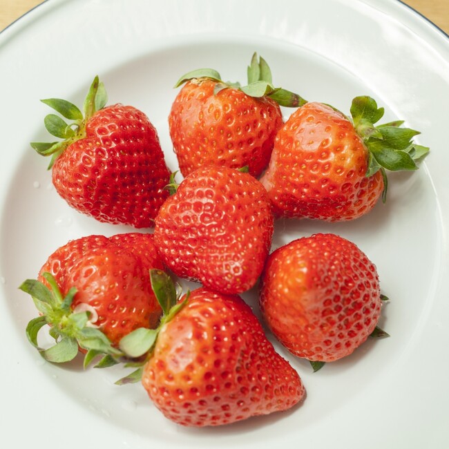 ポムポムの木のカバー写真