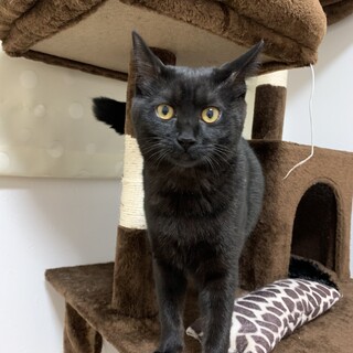 募集一時停止中