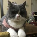 怯えた生活から解放してあげたいんです！！！